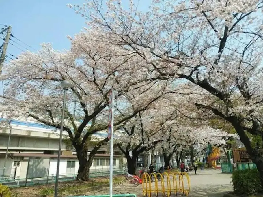 Guest house Asakusa,Ginza,Ueno,Skytree,Stn&Conv 1Min ,Family Suite,45 Mins To Airport,Kiyoka Hotel 清禾 Tokyo
